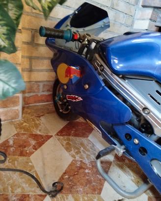 minimoto