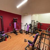 Palestra home gym