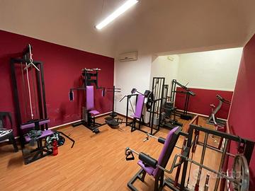 Palestra home gym