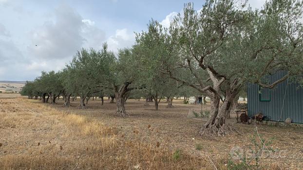 Terreno a Modica (RG) - Frigintini