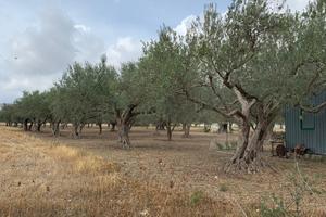 Terreno a Modica (RG) - Frigintini