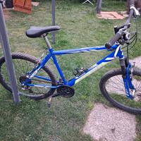 bici da uomo Segio Bianchi