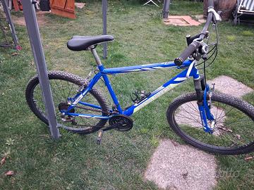 bici da uomo Segio Bianchi