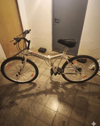 Mountain bike pieghevole 
