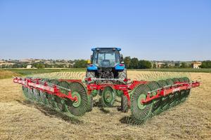 Ranghinatore a V enorossi maximus rake