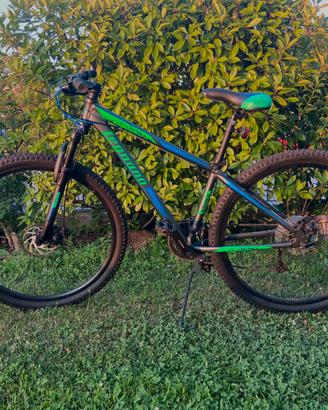 Mountain bike Legnano Andalo L710