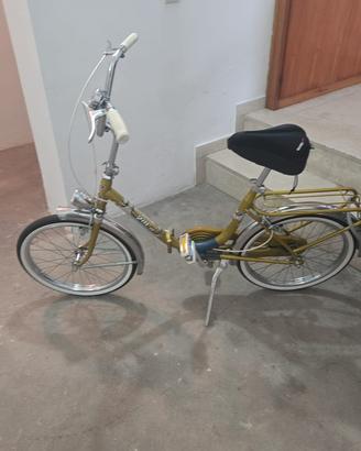 Bicicleta grasiela