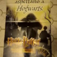 Poster promozionale Harry Potter 