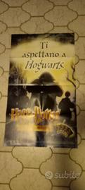 Poster promozionale Harry Potter 