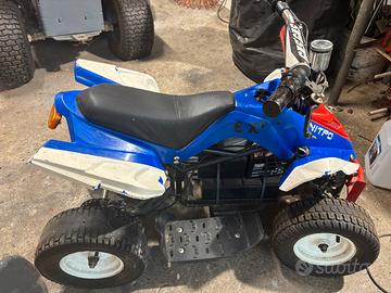 Quad elettrico