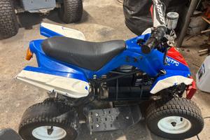 Quad elettrico