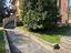 Immagine 15