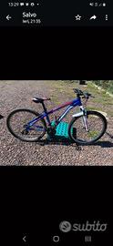 Mountainbike Torpado