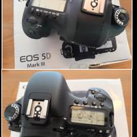 Canon 5D III e 7D