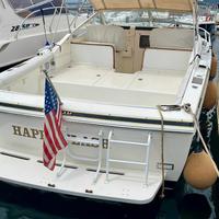 Bertram 28 moppie
