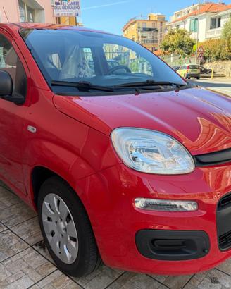 FIAT PANDA 1.2 EASY 69CV-2016- garanzia-finanziabi