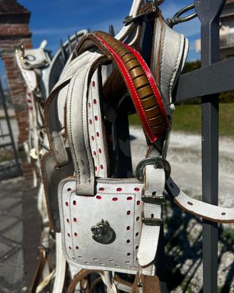 Finimenti carrozza