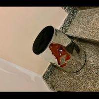 Sgabello con cuscino