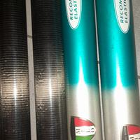 roubasienne milo carpa 13 metri