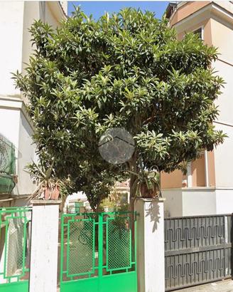 2 LOCALI A ROMA