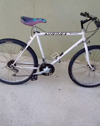Bici MB Aurora da uomo