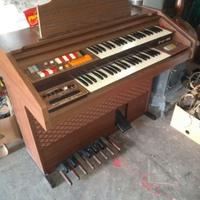 Organo diamont 122