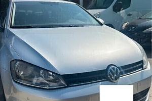 Volkswagen Golf Variant Golf 1.6 TDI 110 CV 5p. Ex