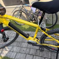 Bici elettrica