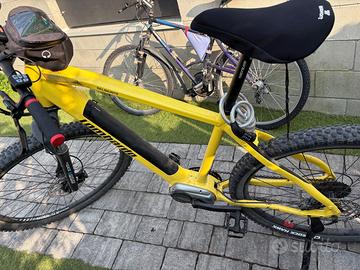 Bici elettrica