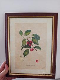 Quadri vintage Frutta 