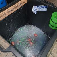 palamito per pesce bianco 100 ami