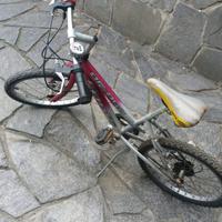 Bici cross per bambina