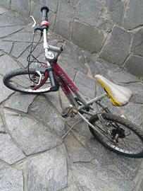 Bici cross per bambina