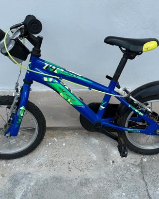 bicicletta