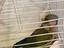 Immagine 3