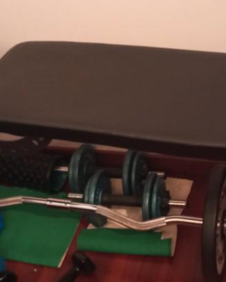 Panca Fassi ,manubri e bilanciere cambered 