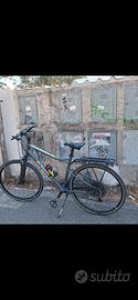 bici  trekking Riverside 920