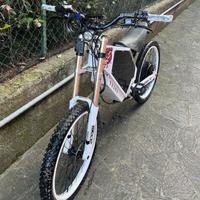 Bici elettrica