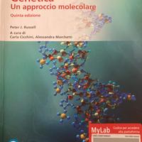 Genetica Un approccio molecolare