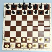 Scacchi + scacchiera da torneo avvolgibile