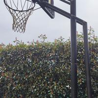 canestro Basket 