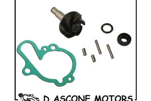 Kit Revisione Pompa Acqua Motori Minarelli AM3/AM4