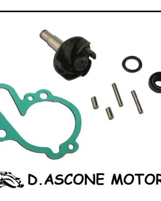 Kit Revisione Pompa Acqua Motori Minarelli AM3/AM4