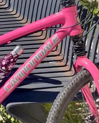 MTB CANNONDALE “CAFFEINE”HANDMADE USA ( RUOTA 26’