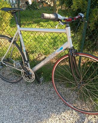 bicicletta citybike 