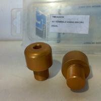 Terminali Manubrio Kawasaki 2005 Ergal ORO LLS Con