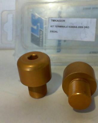 Terminali Manubrio Kawasaki 2005 Ergal ORO LLS Con