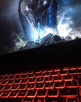 Acer usato