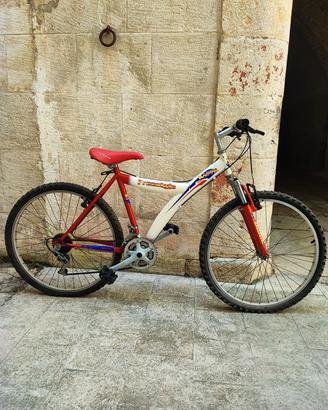 bici da ragazzo con cambio  