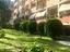 Immagine 4